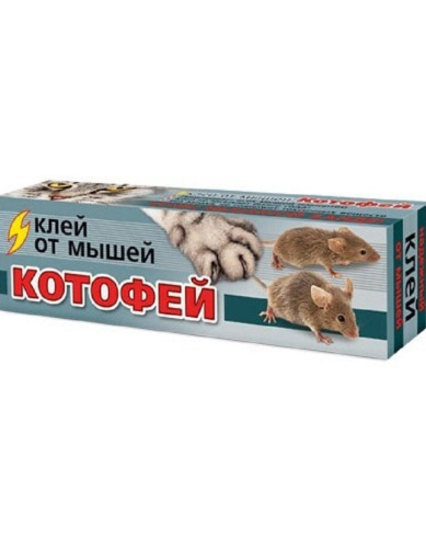 Котофей клей