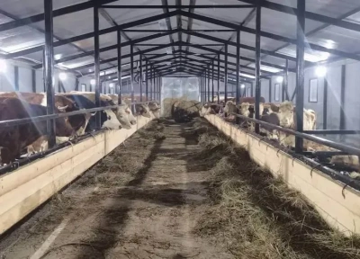 В Верхневилюйском улусе строят и модернизируют объекты сельского хозяйства по новому механизму поддержки / ЯСИА   