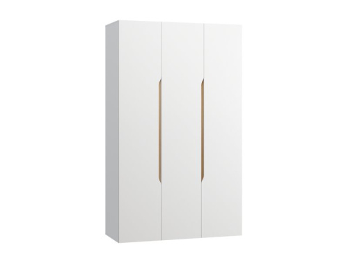 Распашной шкаф Ренар 3-150x250 Белый