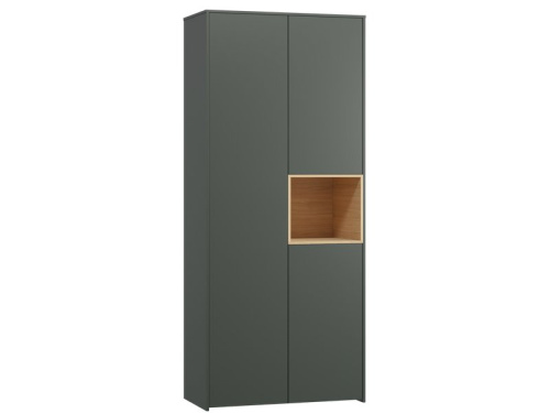 Распашной шкаф Висмар 2-103x240 Темно-зеленый
