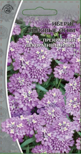 Иберис Лиловые огни цв/п  0,25 гр