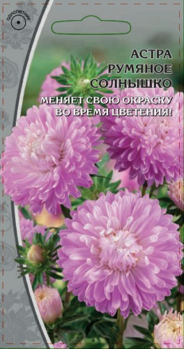 Астра обильноцветущая  Румяное солнышко 0,2 гр