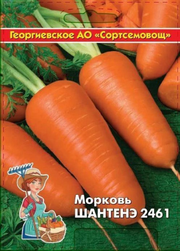 Морковь Шантанэ 2461 10 гр цв.п (Сортсемовощ)