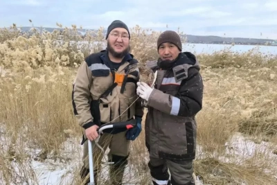 В Якутске во время скоса камыша спасли утку / ЯСИА   