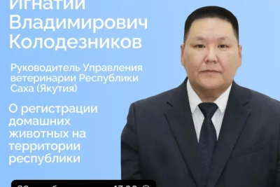 О регистрации домашних животных на территории Якутии расскажут в прямом эфире / ЯСИА   