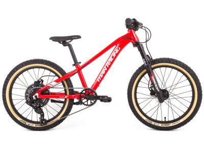 Детский велосипед Titan Racing Hades 20 Team, год 2024, цвет Красный
