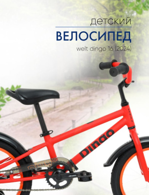 Детский велосипед Welt Dingo 16, год 2024, цвет Красный