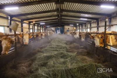 В Якутии поддержат развитие инфраструктуры агропромышленного комплекса / Николай Борисов   