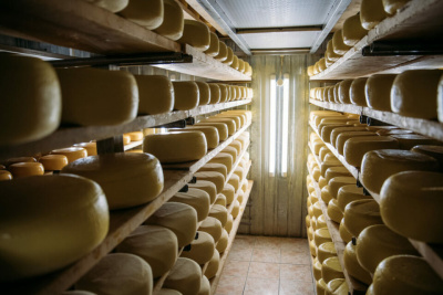 Производство молочной продукции выросло в России / ЯСИА   