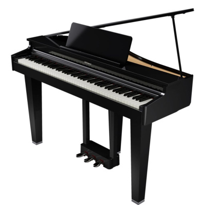 Roland GP-3 PE - чёрный полированный