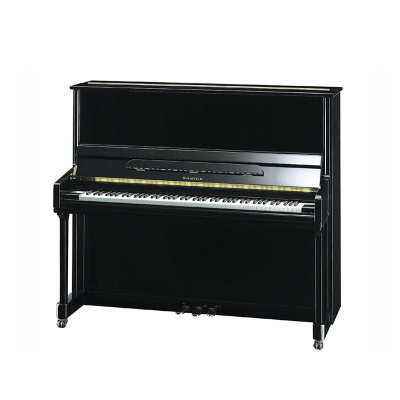 Samick JS132MD EBHP - чёрный полированный