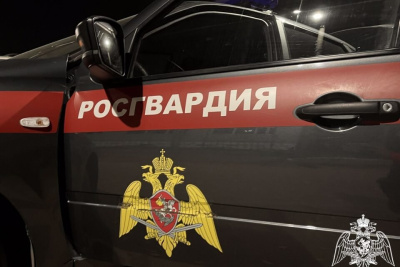 Дебош, скандалы и драка в ресторане: на какие вызовы выезжала Росгвардия в Якутии / ЯСИА   Республика Саха (Якутия)