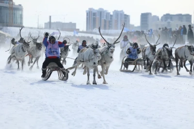 В Якутске после семилетнего перерыва проходят Игры оленеводов / Мария Горохова Якутск Якутск Республика Саха (Якутия)