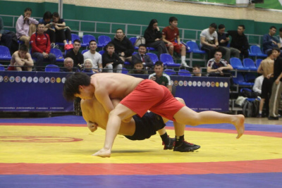 Определены обладатели путёвок на Игры Манчаары по хапсагаю среди юношей / Дьулустаан Сергеев   