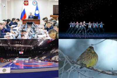 Обзор интересных и популярных новостей в Якутии за 23 января / ЯСИА   Республика Саха (Якутия)