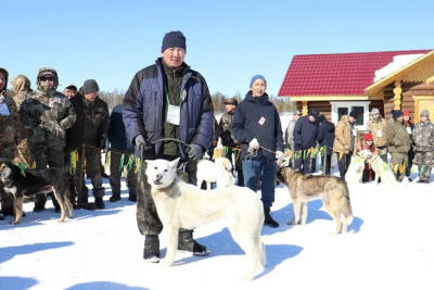 В Якутии стартовал проект по возрождению якутской охотничьей собаки / ЯСИА   
