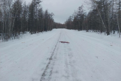 Тело мужчины обнаружили на автодороге в Мегино-Кангаласском районе / ЯСИА   
