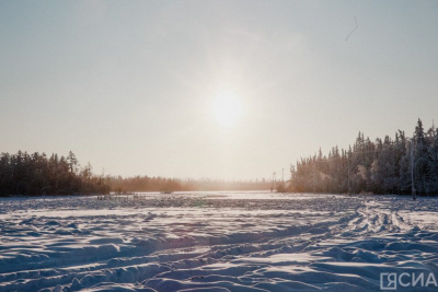 Паразиты, голод или пожары: ученые выясняют причины аномального поведения медведей в Усть-Майском районе Якутии / Майя Гоголева   