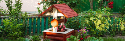 Сколько россияне готовы потратить на дачу в этом году? /    