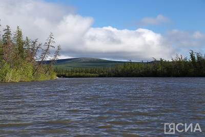 В Якутии расчистят русло реки Индигирки в районе Куберганя / ЯСИА   