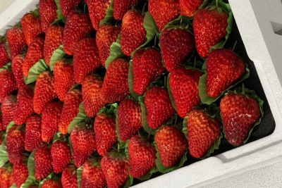 Якутяне пожаловались на плохое самочувствие после китайской клубники / Саина Титова   