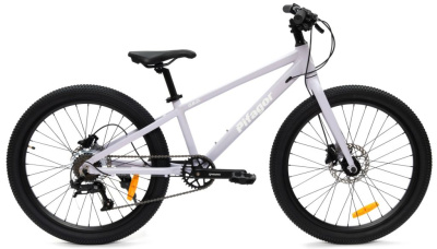 Подростковый велосипед Pifagor Q.E.D. 24, год 2025, цвет Фиолетовый