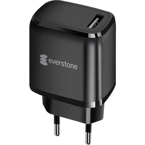 Зарядное устройство сетевое Everstone EV-AC-USBA10 USB 2A, черное