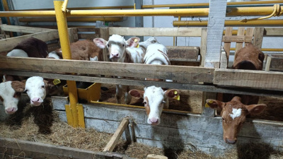 В Якокит пришла весна, прорастают семена! / Ольга Жукова Якокит Алданский Республика Саха (Якутия)