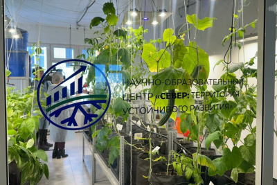 Опытно-экспериментальную теплицу открыли в школе Якутска / ЯСИА   