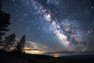 Депутаты предлагают запретить рекламу астрологов и магов / ЯСИА   