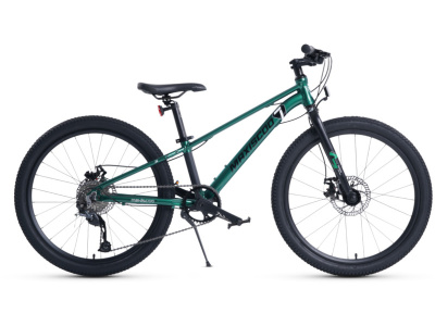 Подростковый велосипед Maxiscoo 7 Bike 24 M500, год 2024, цвет Зеленый