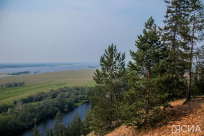 В Мегино-Кангаласском районе оштрафован виновник ландшафтного пожара / ЯСИА   