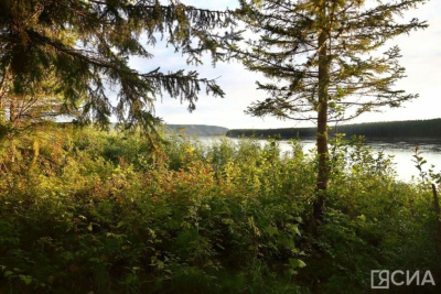 В Якутии установлен пожароопасный сезон / ЯСИА   