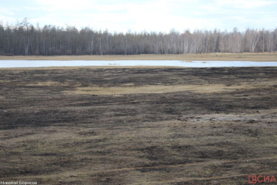 Трое жителей Якутии привлечены к ответственности за выжигание сухой травы / ЯСИА   