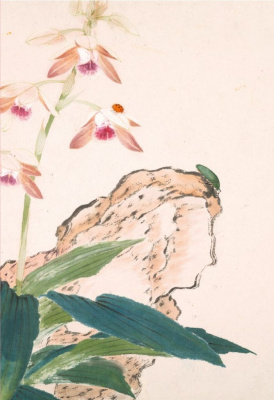 Блокнот Насекомые и цветы "Божья коровка"