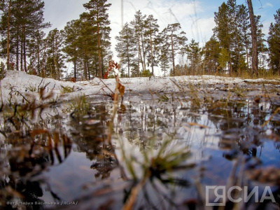 В Мегино-Кангаласском районе пропал мужчина, отправившийся на поиски лошадей / ЯСИА   