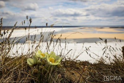 Якутских охотников призвали воздержаться от выездов на острова / ЯСИА   